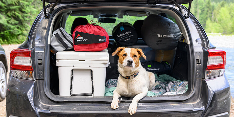 MSR 5 MSR -MSR msr 2col camping tents 925x463 1